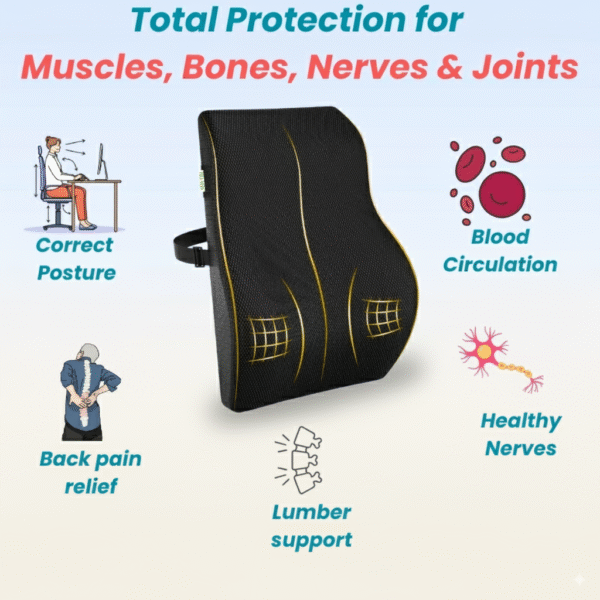 Mivor Back Support Cushion (Backrest) – Orthopedic Memory Foam Lumbar Cushion for Office, Car & Home | Mesh Black | Pain Relief | Size- 18x15x5 | 1-Year Warranty - Image 4