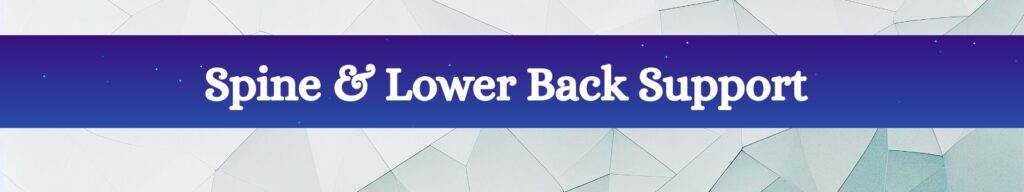 lower & spine back support memory foam product , coccxy, back support
